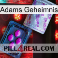 Adams Secret 37